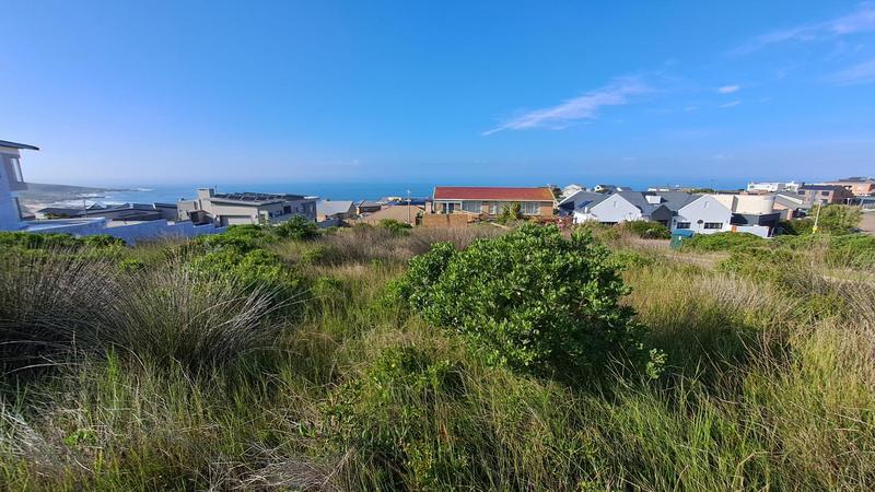 0 Bedroom Property for Sale in Jongensfontein Western Cape
